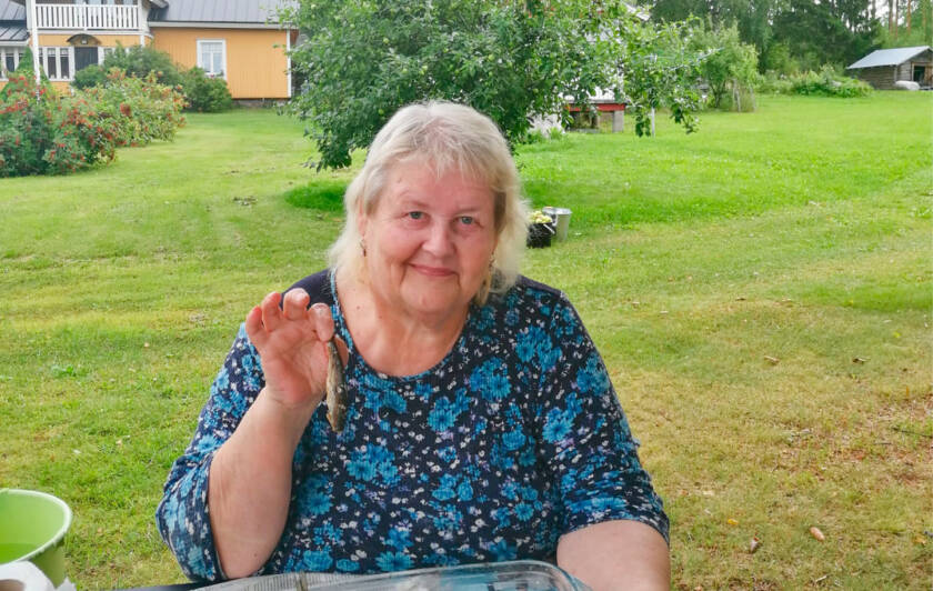Raili Kontinen.