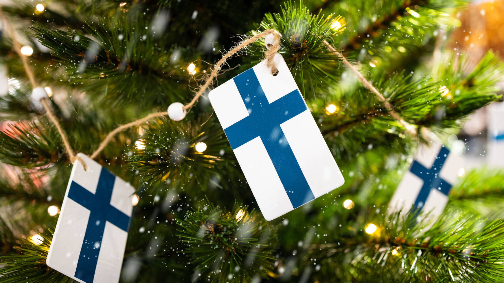 Suomenlippunauha joulukuusessa.