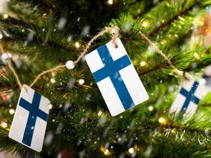 Suomenlippunauha joulukuusessa.
