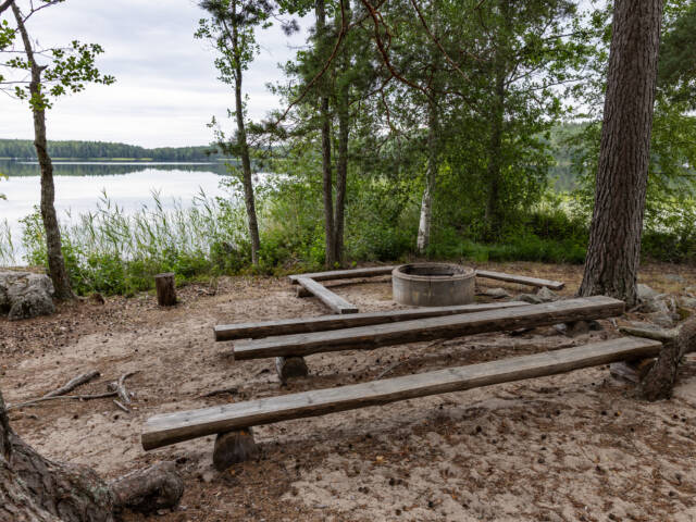 Tulipaikka Lusikkaniemessä.