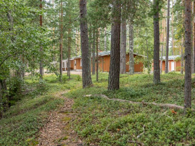Polku tulipaikalta Lusikkaniemen kesäkodille.