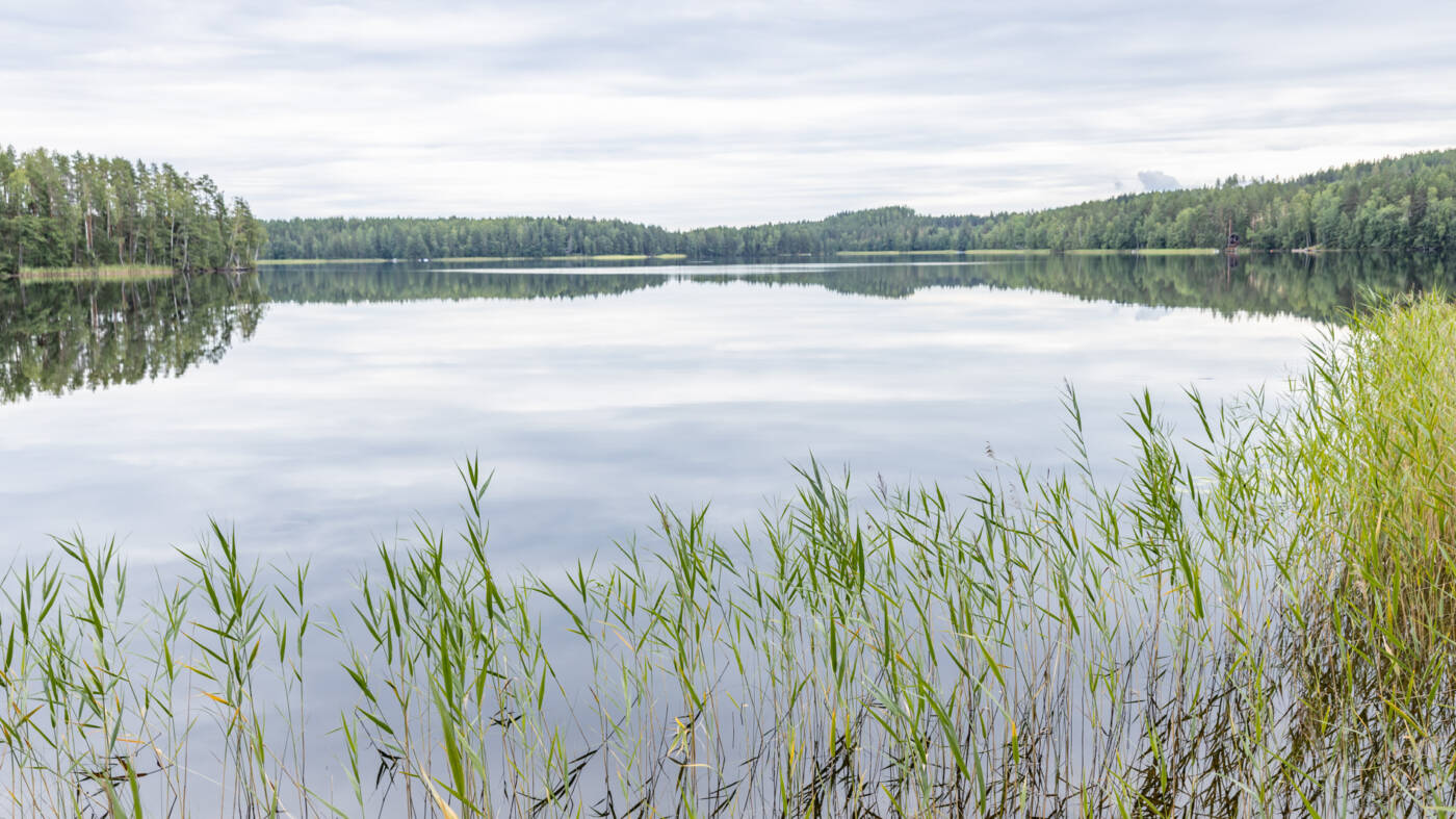 Järvimaisema Lusikkaniemessä.