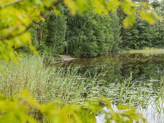 Järvimaisema Lusikkaniemessä.