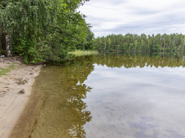 Rantamaisema Lusikkaniemessä.