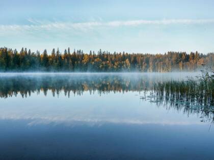 Usvaa aamulla järven yllä.