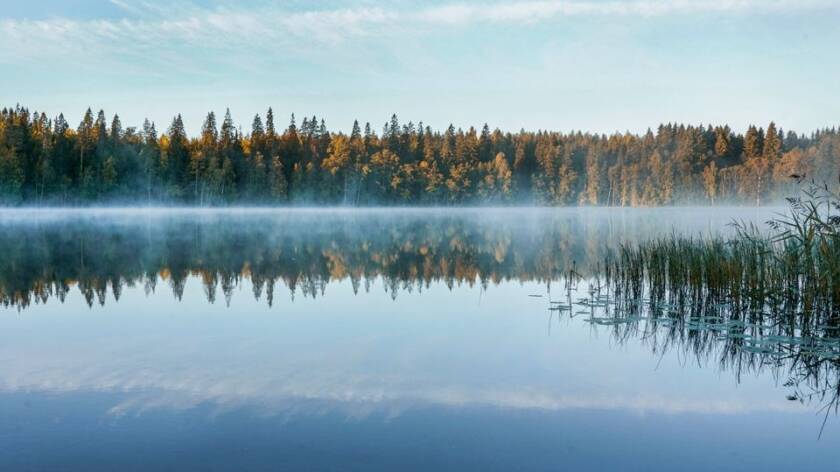 Usvaa aamulla järven yllä.